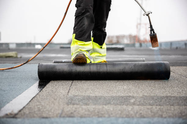 Best Rubber Roofing (EPDM, TPO)  in Charlottesville, VA
